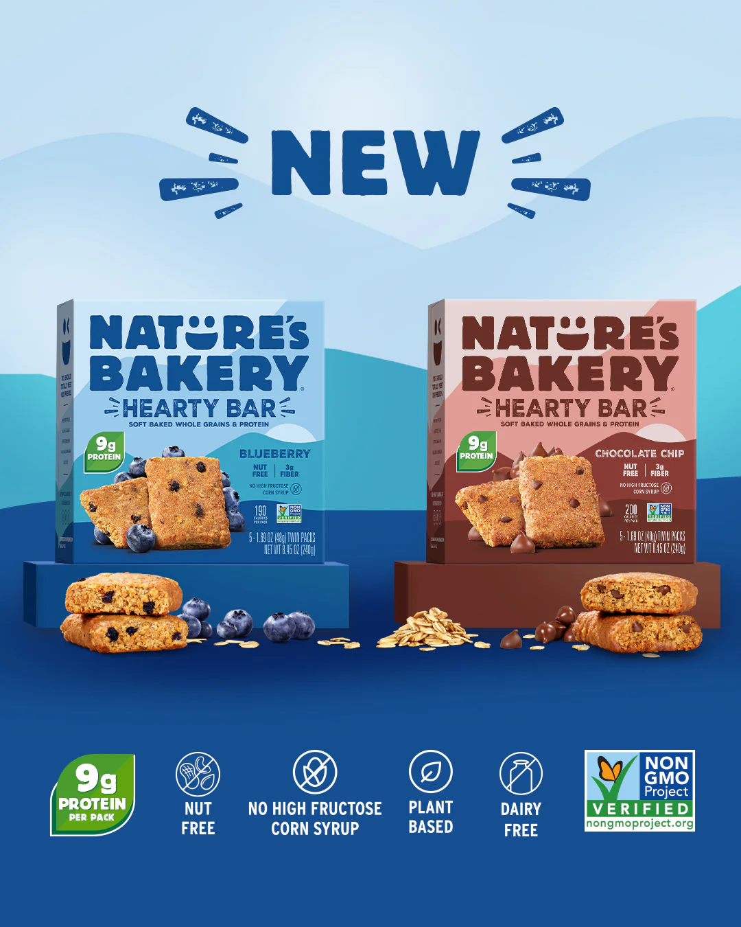 Chocolate Chip - Image 5