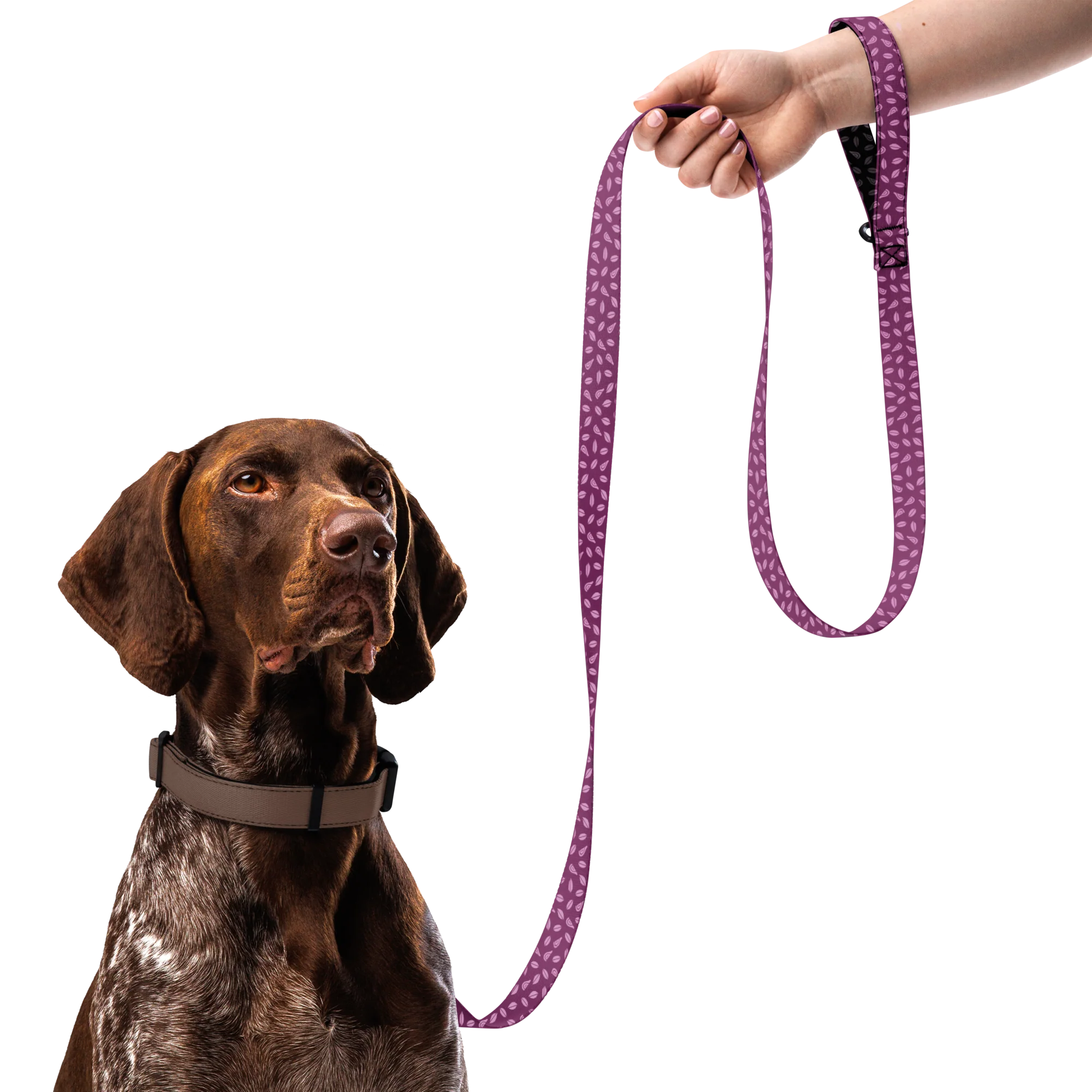 Patterned Pet Leash - Image 3